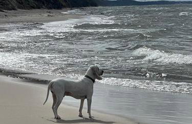 Apartamenty nad morzem Przy klifie 3 Dębina - Foto 71