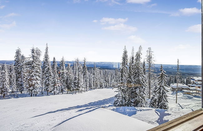 Inuksuk Lodge 4800 sq ft of Excellence - Photo 73