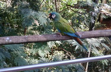 Iguassu Falls Refuge - Cataratas do Iguassu - Paraguai - Argentina - Foto 17