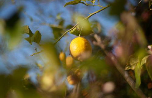 Casa do Palheiro - Valença - Foto 33