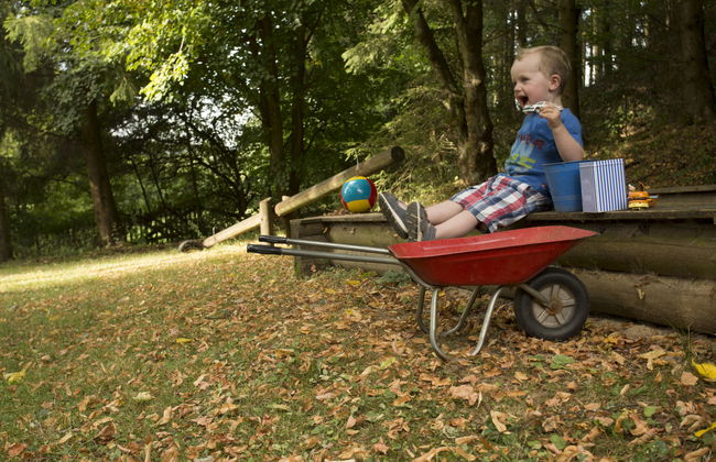 1 bedroom Apartment in Schönecken with garden and terrace - Photo 27