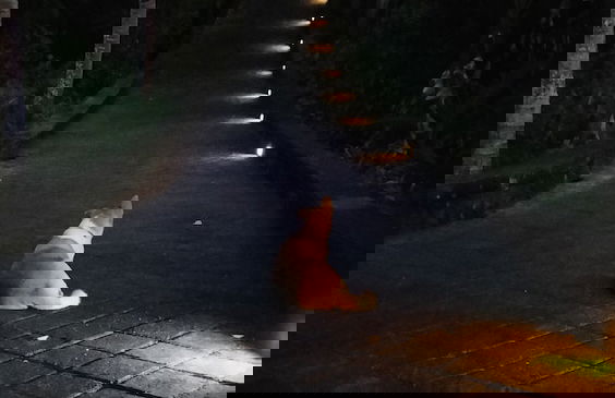 Rama Gaia Villa - Foto 35