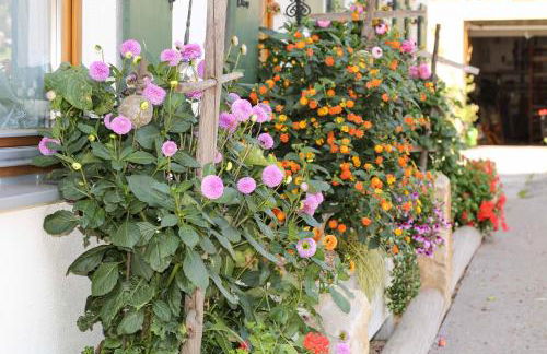 Ferienhof Kleber Bauernhof - mit KönigsCard - Foto 5