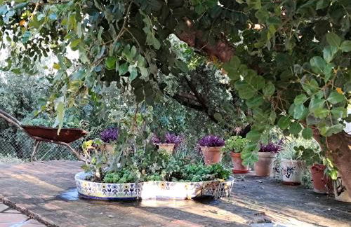 Los Tréboles - Foto 8