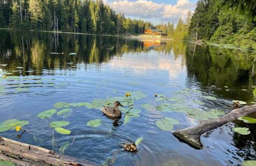 Apartment Tälerblick -NEU MODERNISIERT- - Foto 11