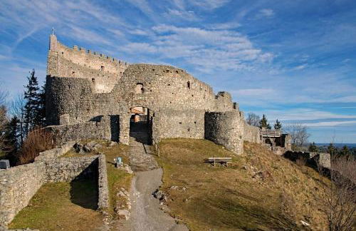 Ferienwohnung Nr 2, neben einem Bauernhof, Roßhaupten, Allgäu - Photo 11