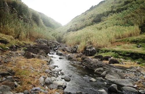 Village peacefull house - Photo 17