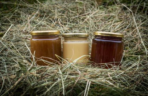 Agritur Ciasa Dò Parè - Foto 48