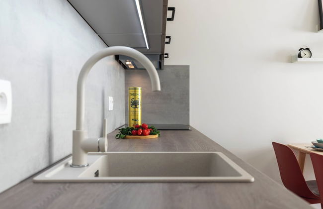 Fully equipped apartments with Terraces, Free garage parking, Netflix & AC - by Apartmány Šlapanice cz - Foto 24