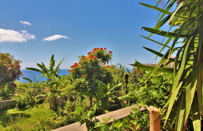 Apartment With Very Big Garden Near Beach - Photo 14