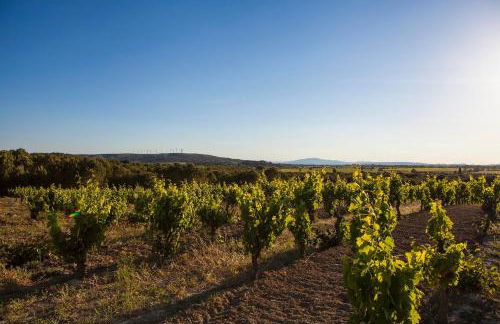 Château de la Motte - Entre Narbonne et le Canal du Midi - Foto 25