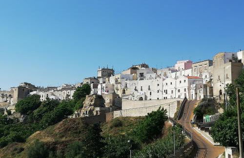 Milleunastella - Photo 33