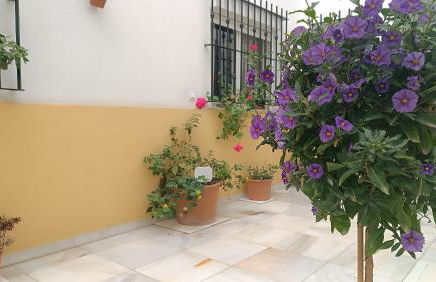 Sherryflat Fontana - Foto 47