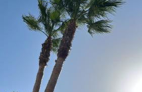 Casa Gemela - Foto 3