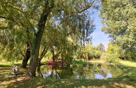 Maison au bord de l'eau - Photo 20