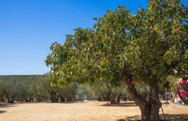 Apartment in Montilla Near Palacio Medinaceli - Foto 35