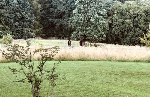 Quiet Nature Near Cologne 2 - Foto 17