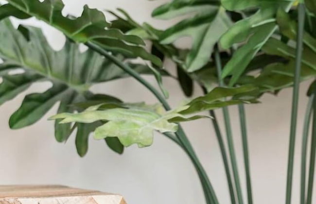 Exquisite Modern Condo in Little Italy - Foto 32