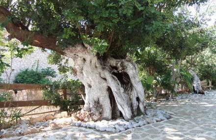 Stone Village Hotel Apartments - Foto 48