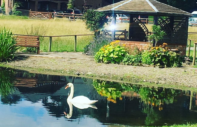 Acorn Court Country House - Foto 25