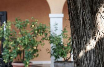 Agriturismo Valentina Cubi - Foto 52