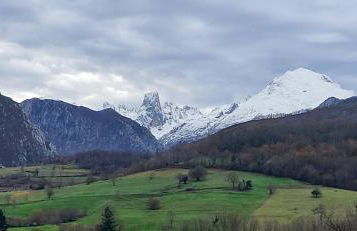 Ca Na Daniela - Foto 33