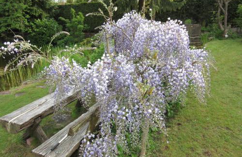 Ferienwohnung Brehmbachgrund - Foto 17