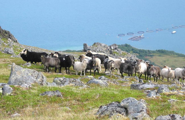 6 Person Holiday Home in Alsvag-by Traum - Photo 12