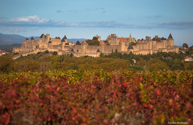 Tour privato di un giorno: Cité de Carcassonne e i castelli di Lastours. Da Tolosa - Foto 3