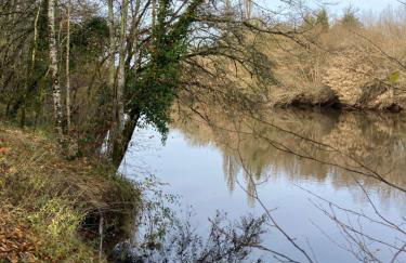 Au petit bonheur - Foto 17