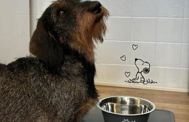 Nandi-HolidaySport&Relax-Apt - Foto 15