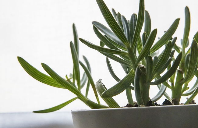 Residenza Del Borgo - Foto 54