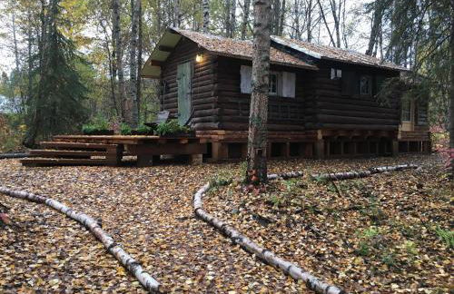 Talkeetna Gardens, Cabins & Cottages - Foto 7