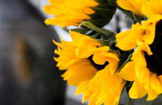 Historic City Charm | Private Modern Luxe - Foto 43