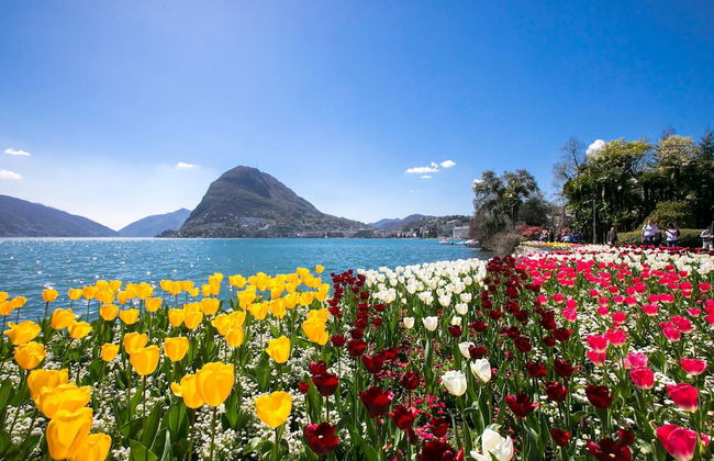 Urban Flat Paradiso in Paradiso Lugano - Foto 13