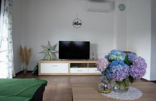 Kraljeva hiža - Apartmani i sobe Kralj - Foto 17