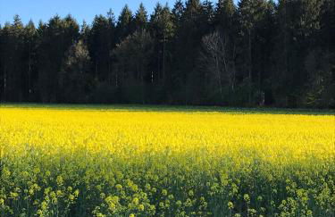 Helpens Hof - Foto 30