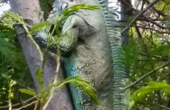 Maison accueillante à Reillanne avec jardin clos - Foto 16