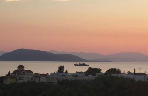 Pepper Tree - Foto 2