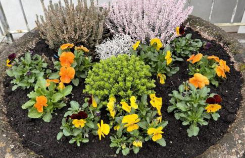 Feines Apartment mit Balkon & Terrasse in ruhiger Gegend - Foto 17