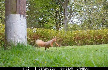 Craig Cottage - Photo 25