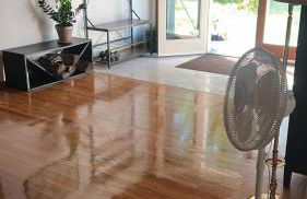 earthship forest exile - Foto 14