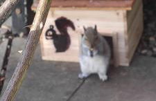 The Parkview House Wakefield - Foto 33