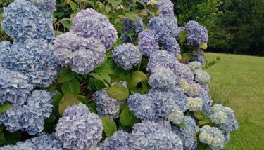 Maison Pays Fouesnantais"Chez Germaine" - Foto 3, Garden