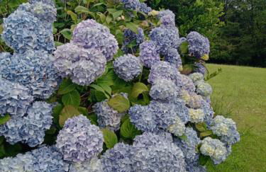 Maison Pays Fouesnantais"Chez Germaine" - Foto 3