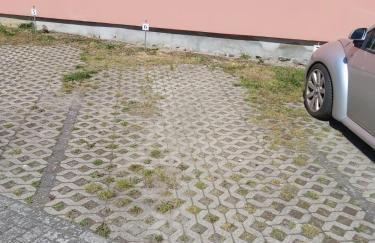 Wohnung Sonnenschein Wolgast - Foto 18