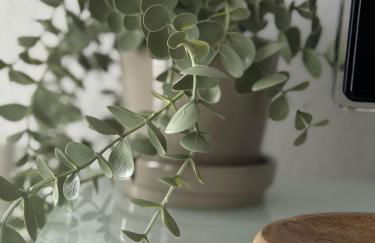 Appartement's in Mayen - Foto 8