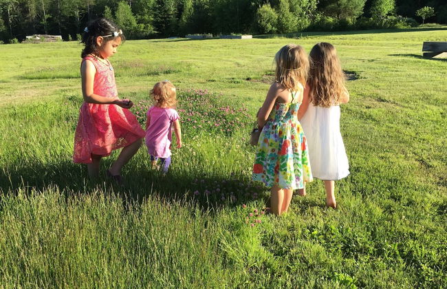 Robert Frost Mountain Cabins - Foto 60