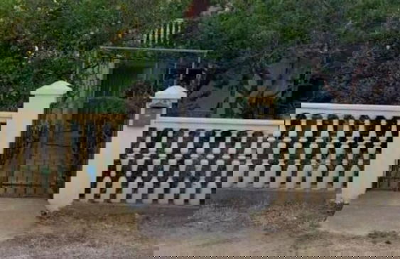 Standard 1-bed Apartment in Komiza no1 - Foto 13