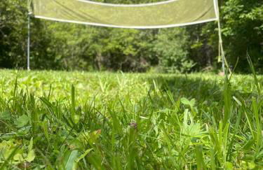 Luxury Mountain Villa - 3 bedroom, hot-tub, fire-pit - Foto 16